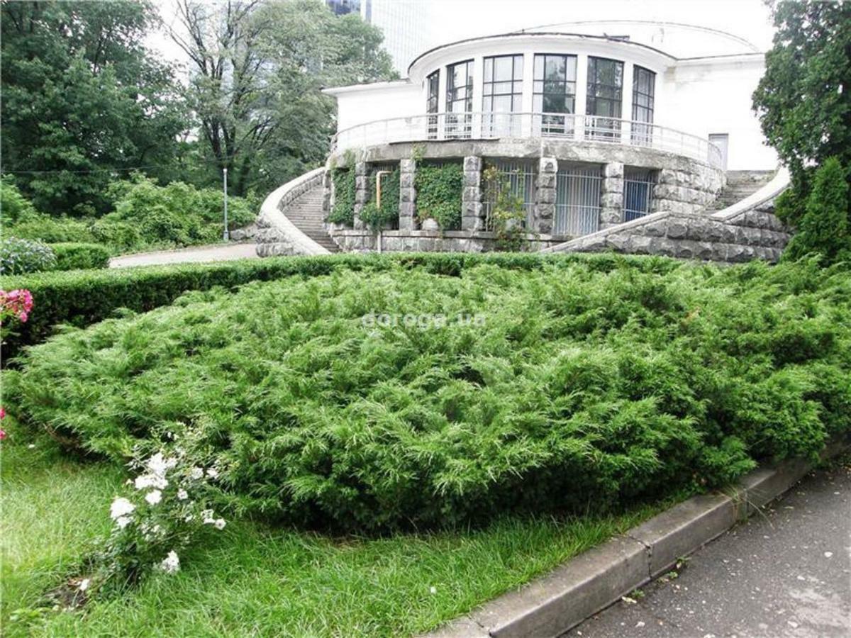 Kyiv Top Location 60M2 Apt In Old City Fast Wifi Selfchekin ภายนอก รูปภาพ